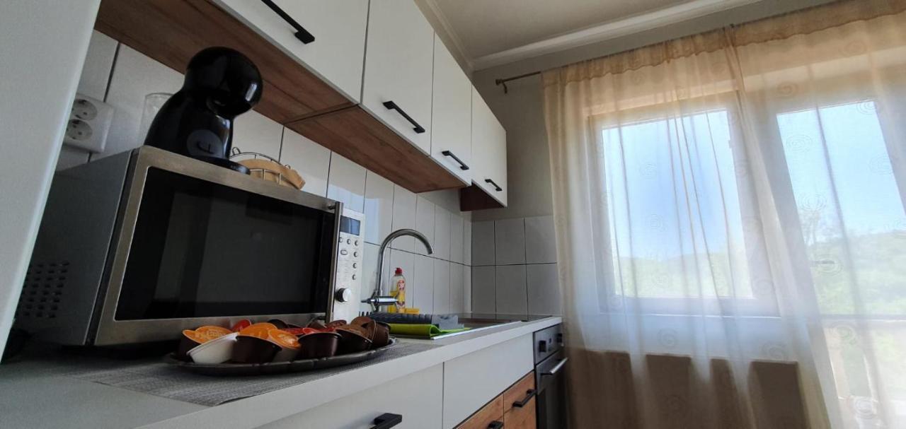 Casa Alex Si Daiana Daire Orşova Dış mekan fotoğraf
